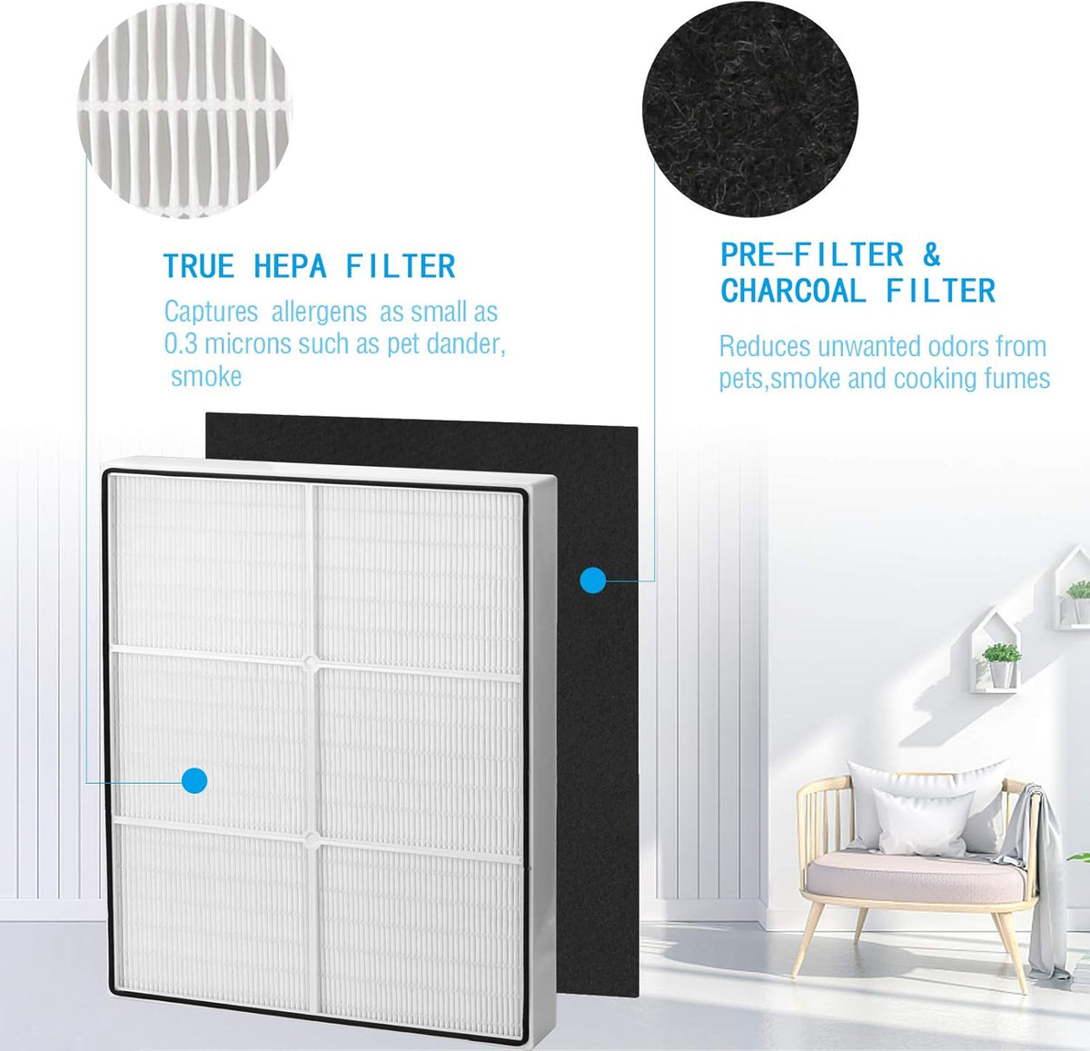 1 True HEPA Filter + 4 Carbon Filters Pack of 2 P510561