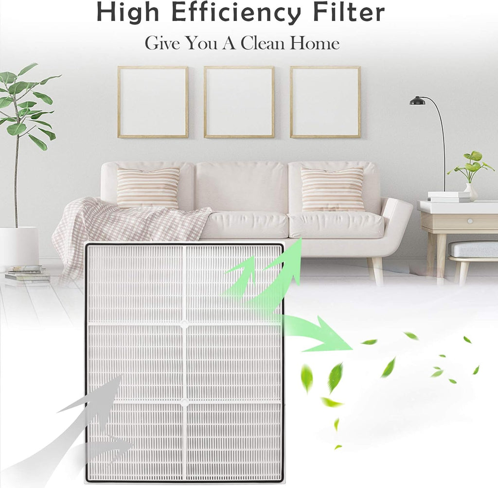 1 True HEPA Filter + 4 Carbon Filters Pack of 2 P510561
