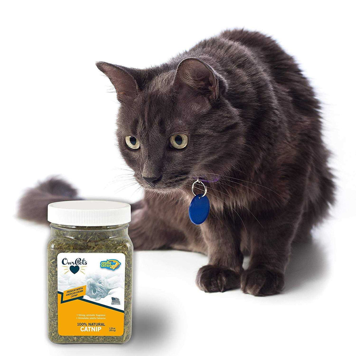 Catnip Q52399