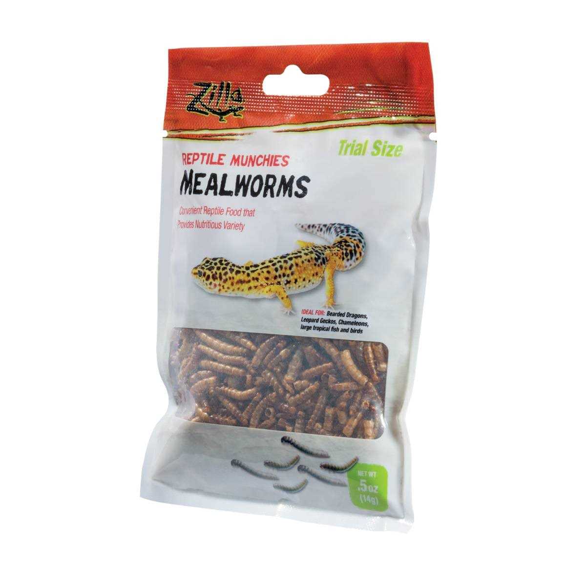 Mealworms Reptile B818447
