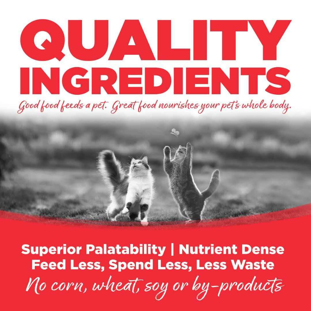 Grain Free Cat Food L1673