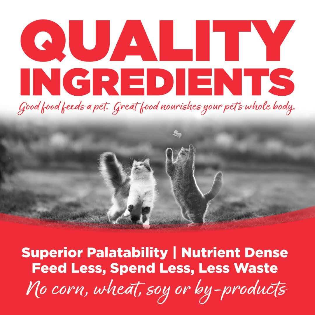 Grain Free Cat Food L1673