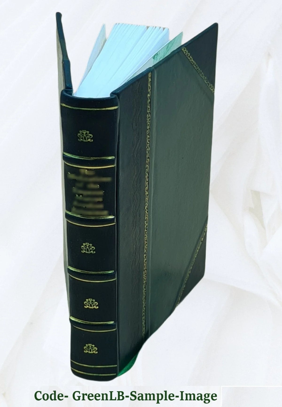 Leather Bound Book G5717