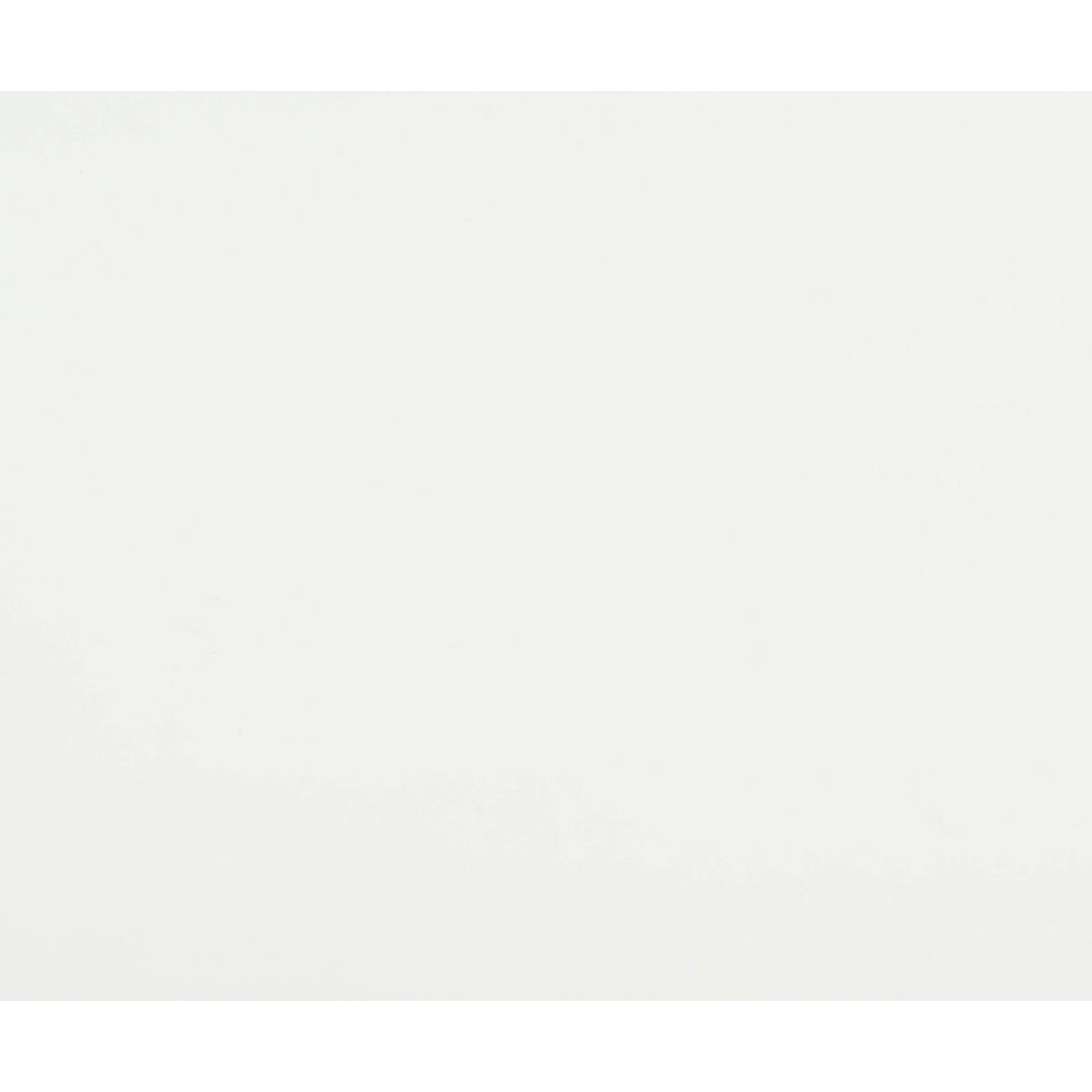 White Bathroom Organizer with 2 Shelves A6721