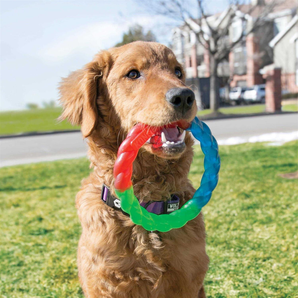 Tennis Ball R40732