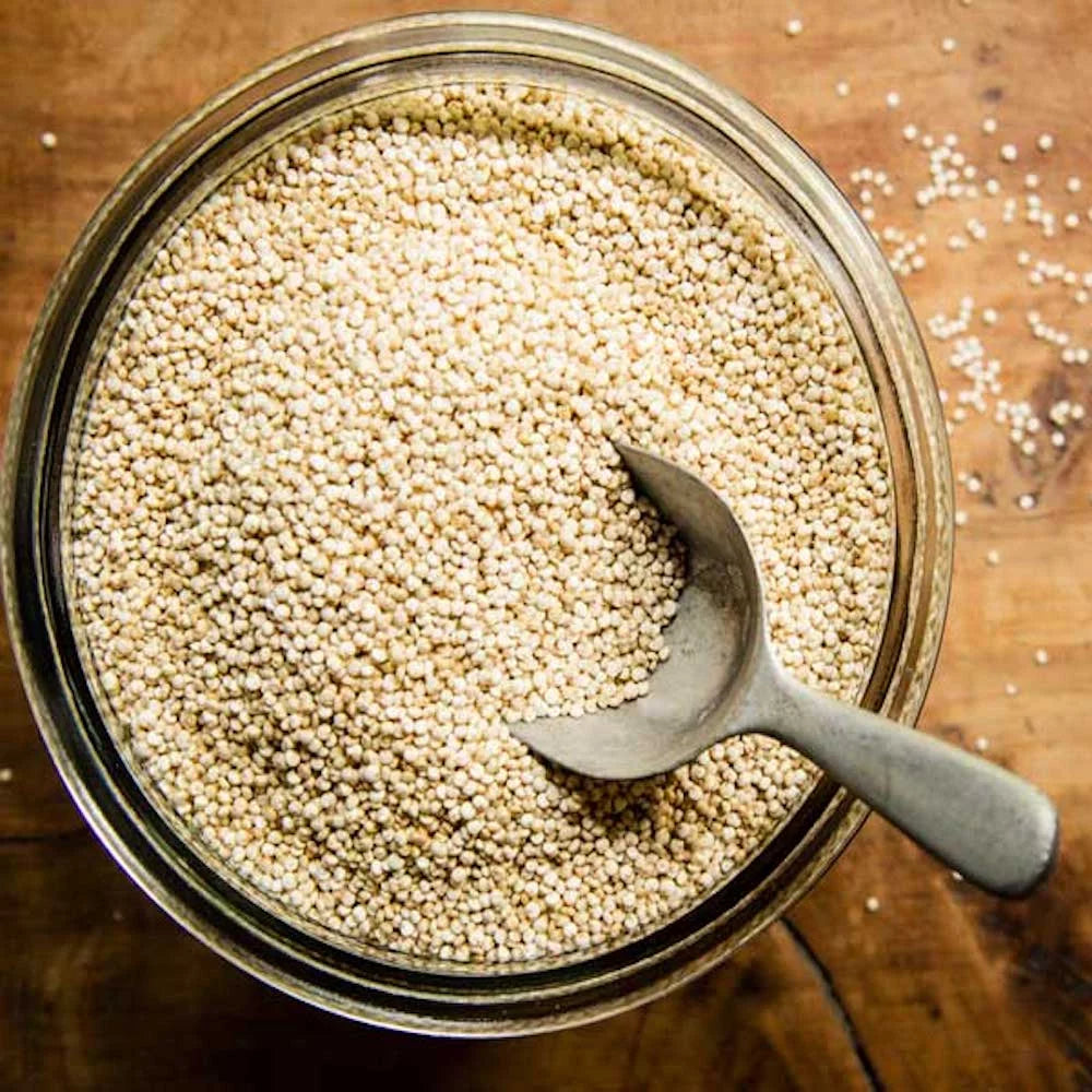 White Quinoa Seeds 5 Pound T64648