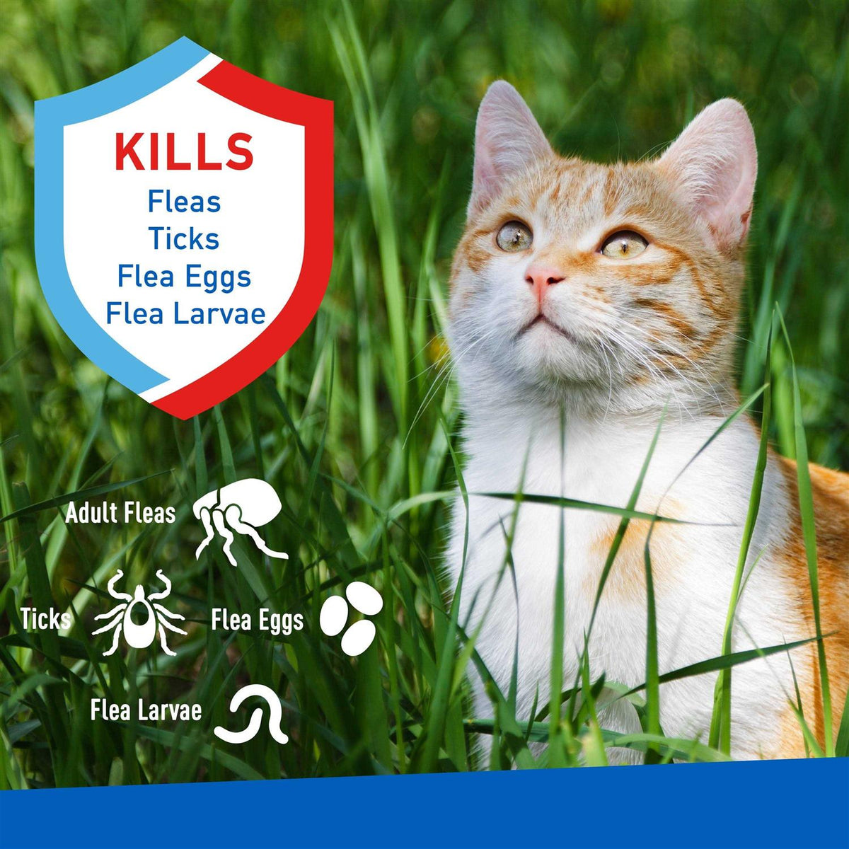 Flea and Tick Spray for Cats Q4507