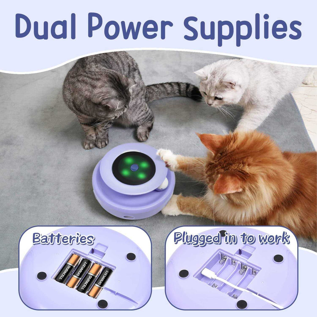 2-in-1 Interactive Cat Toy Balls S394