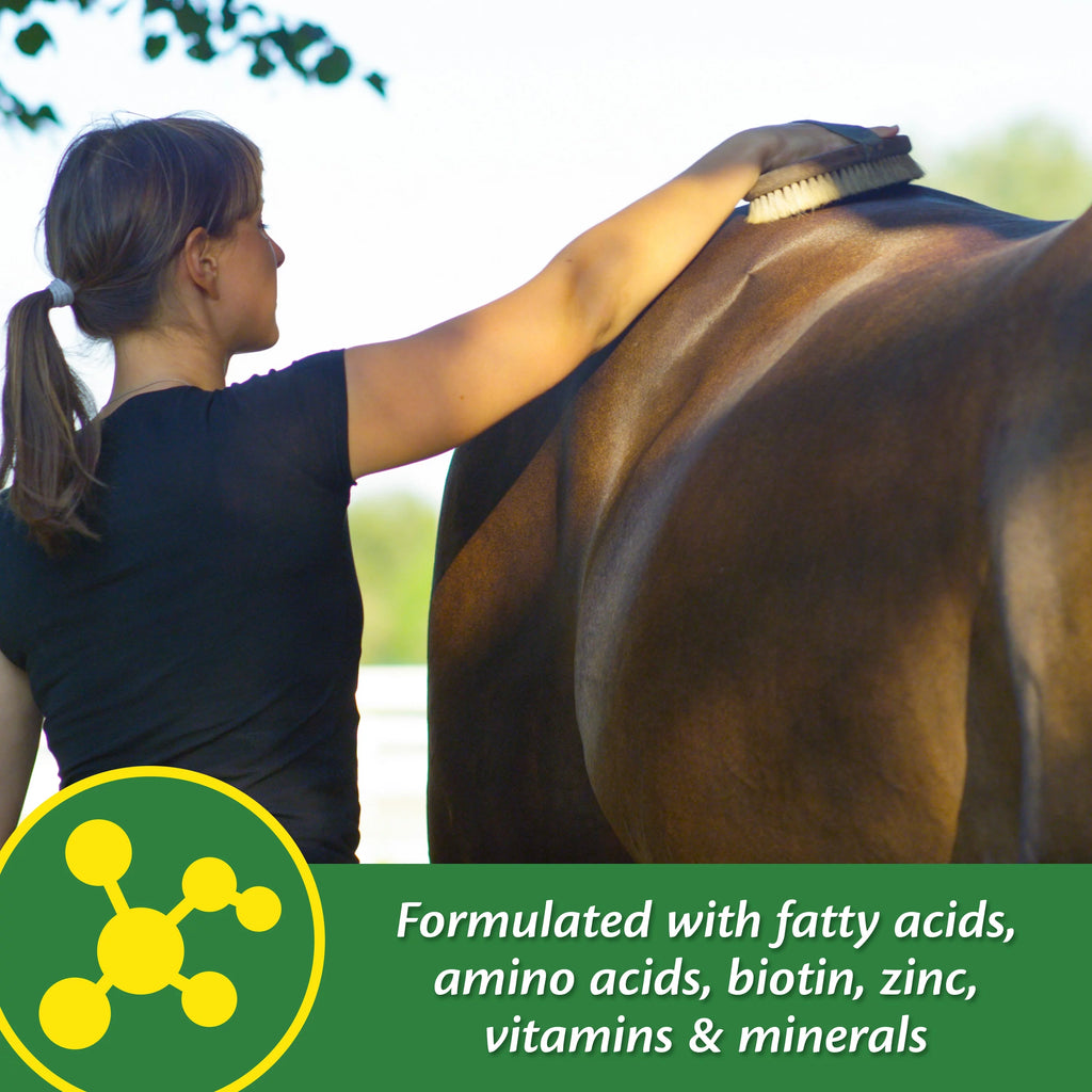Horse Skin & Coat Supplement 5 Pound O92852