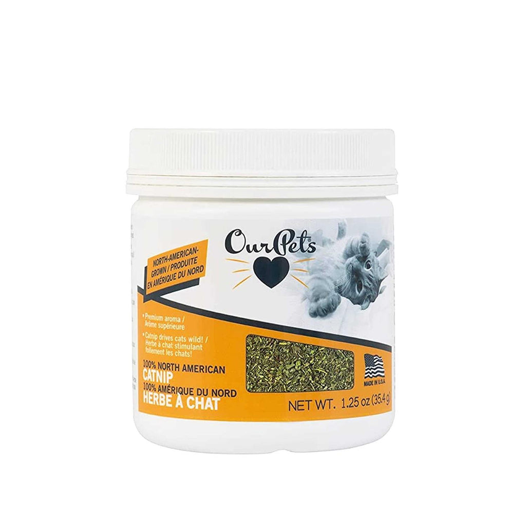 Catnip Q52399