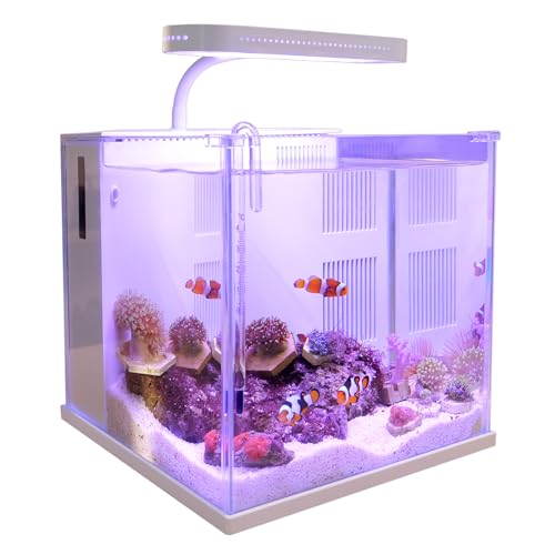 2 Gallon Small Glass Desktop Fish Tank with LED Light and Water Pump Filter E9908