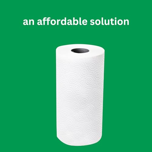 2-Ply Paper Towels, 12 Rolls H936556