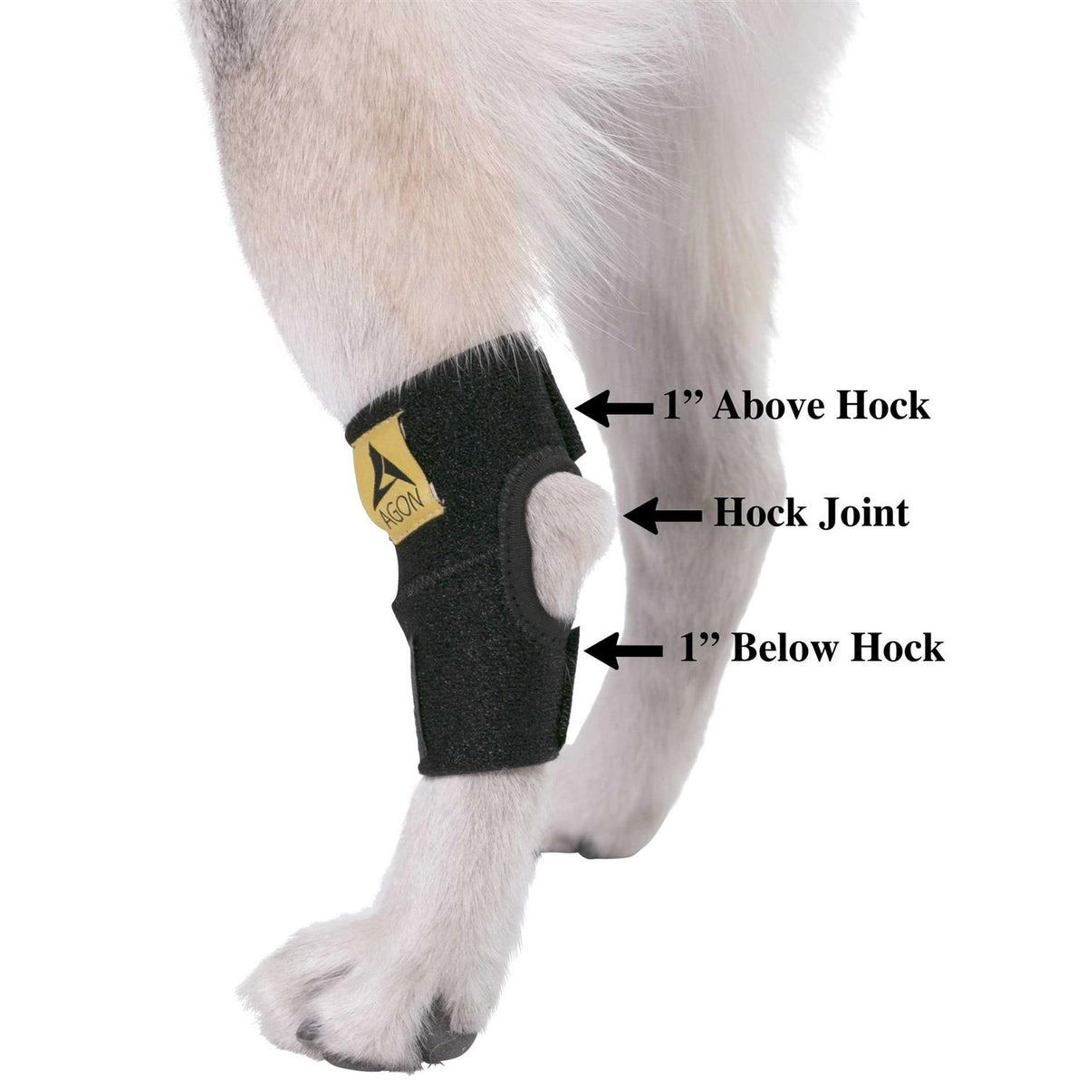 Dog Rear Hock Joint Brace Compression Wrap With Straps N292
