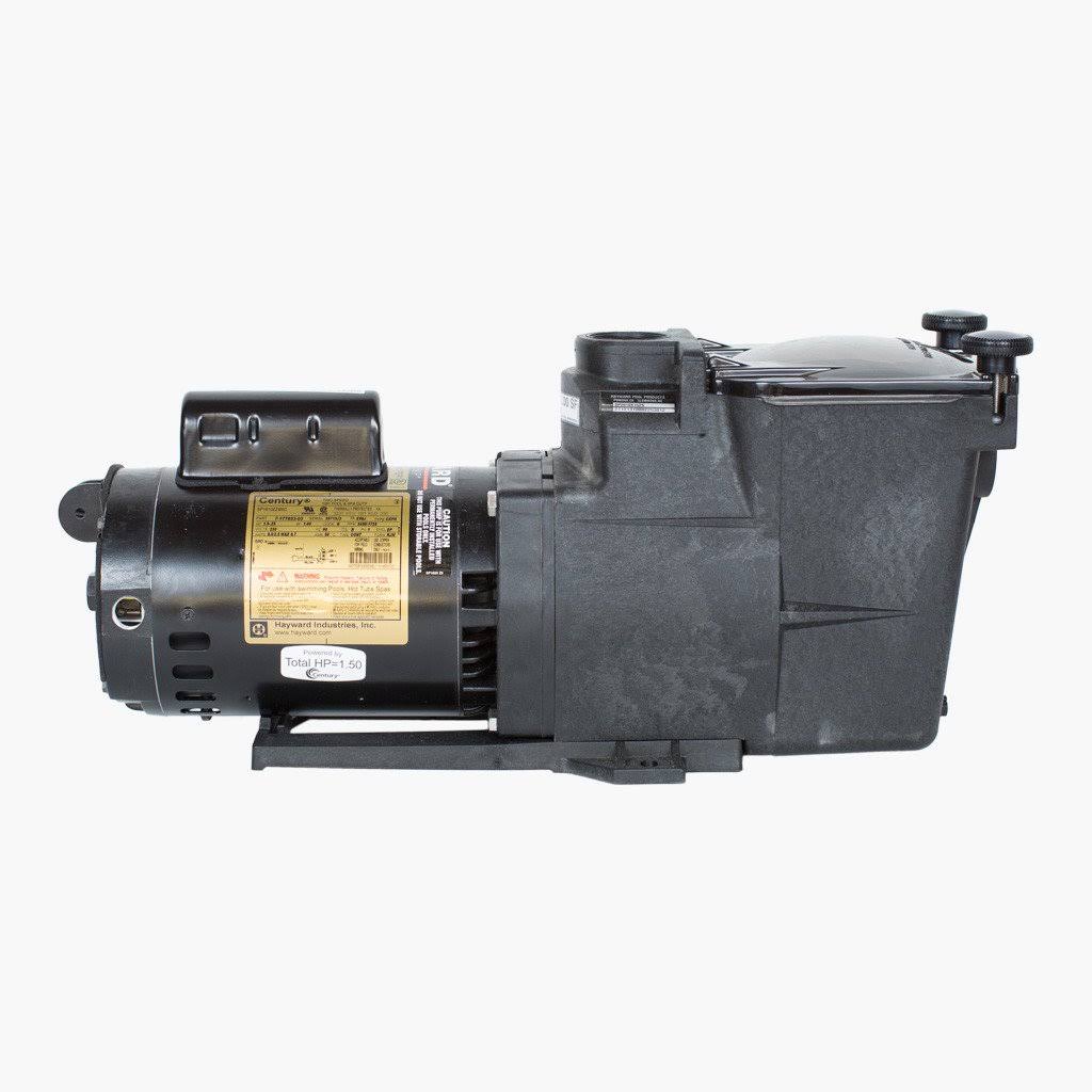 2 HP Dual Speed Pump Y86748
