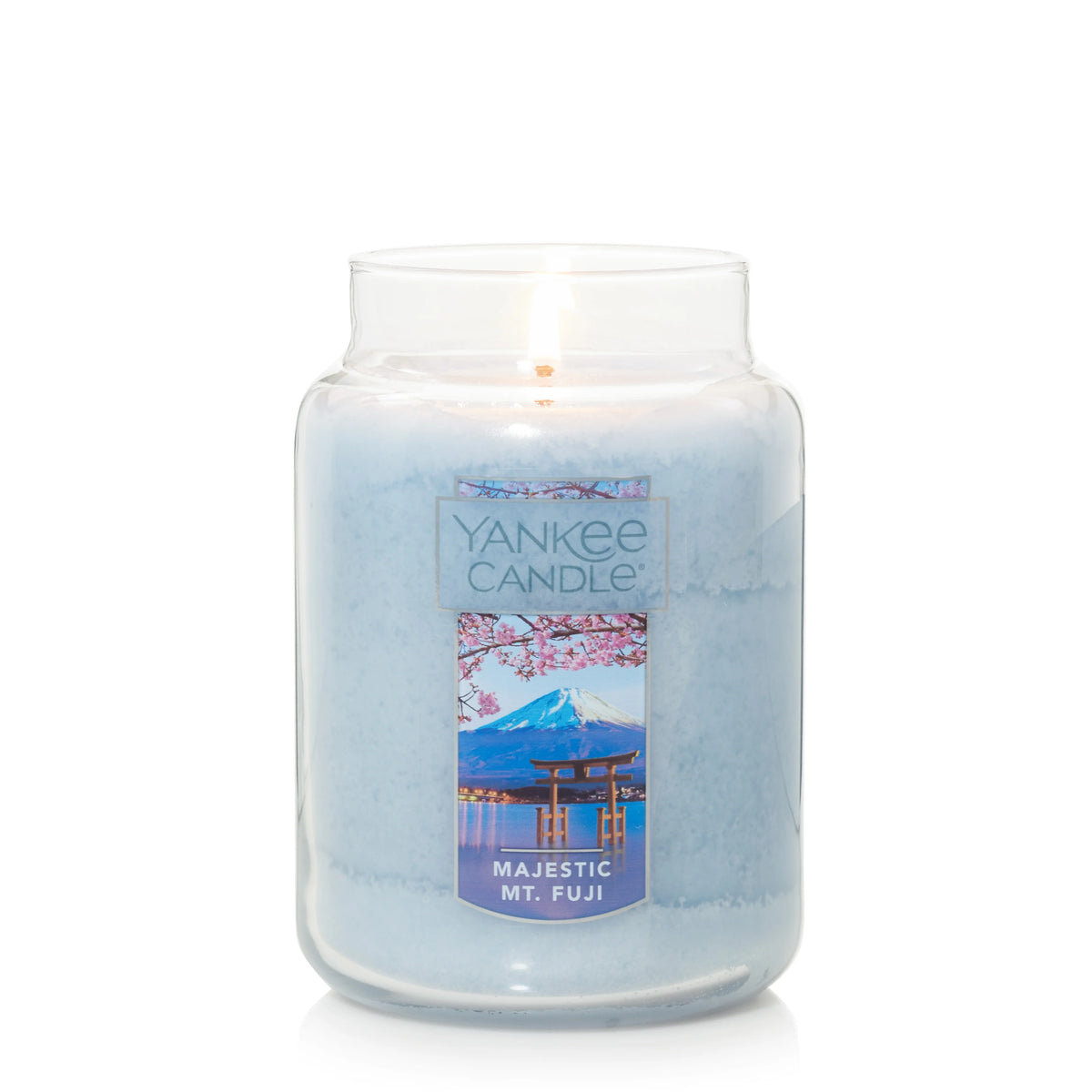 22oz Scented Candle D363
