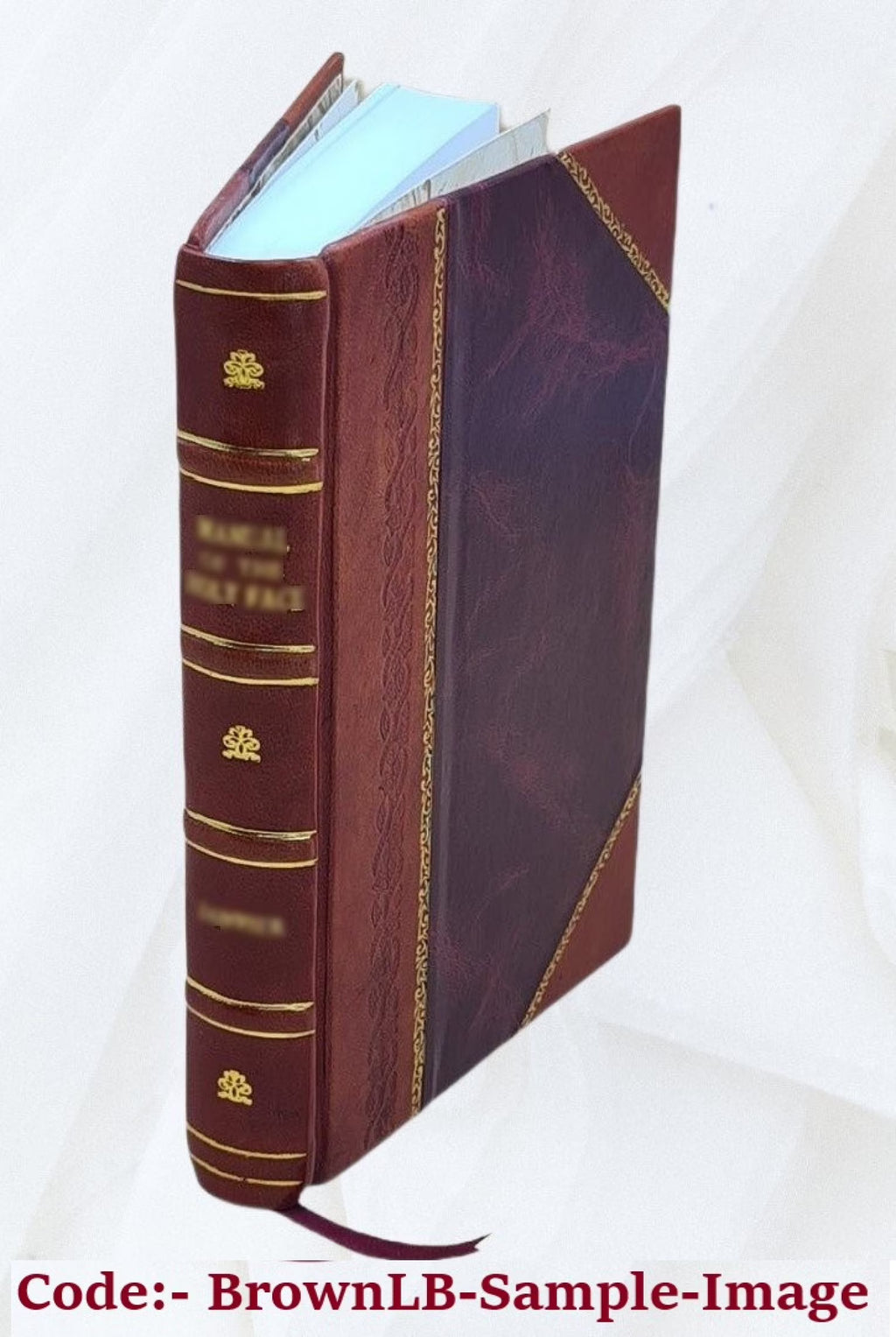 Leather Bound Book G5717