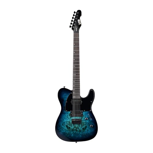 Purple Burst Electric Guitar D5965