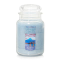 22oz Scented Candle D363