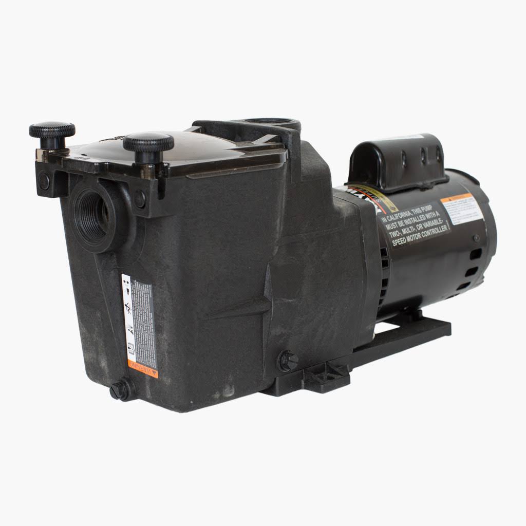 2 HP Dual Speed Pump Y86748