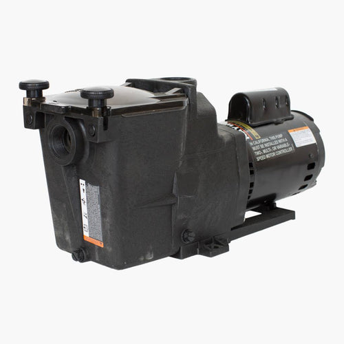 2 HP Dual Speed Pump Y86748