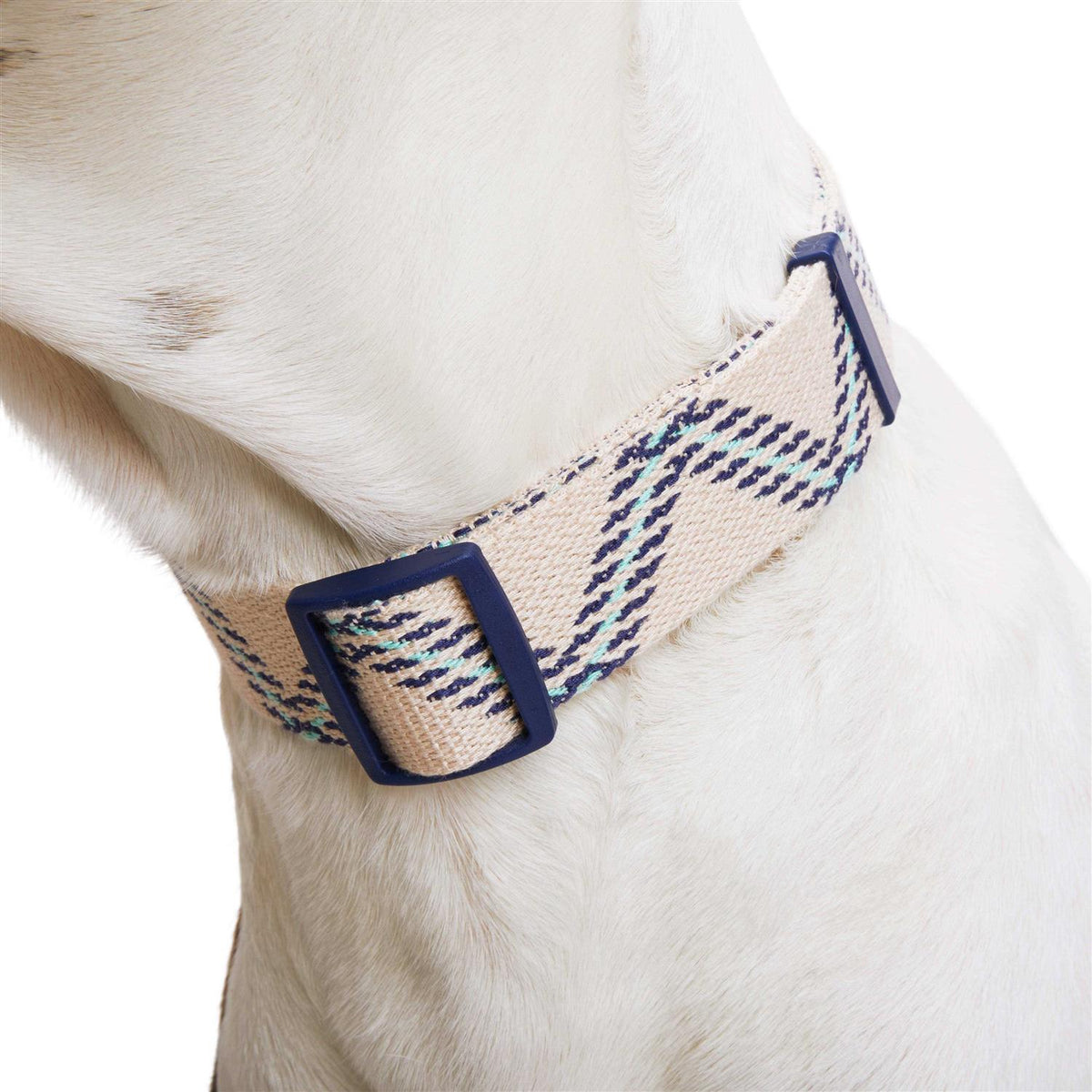 Zig Zag Dog Collar R30764