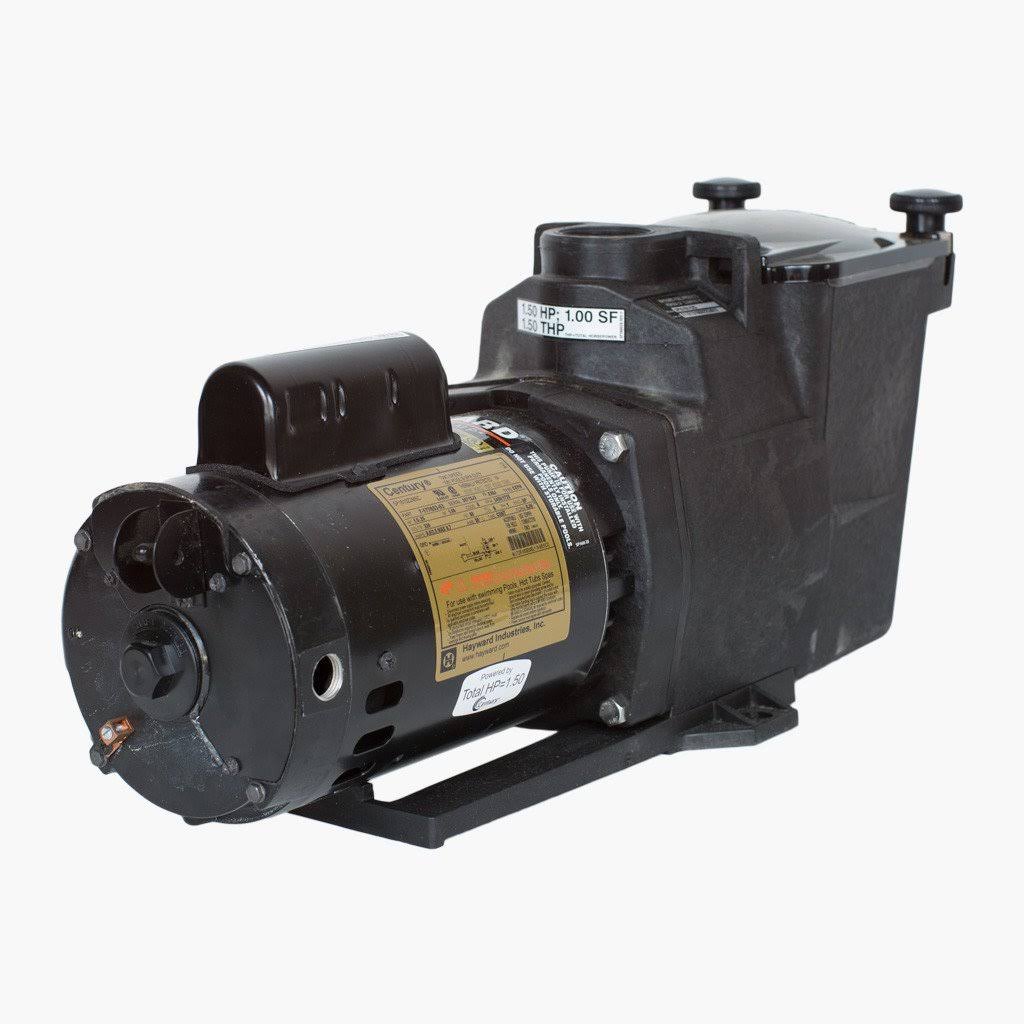 2 HP Dual Speed Pump Y86748