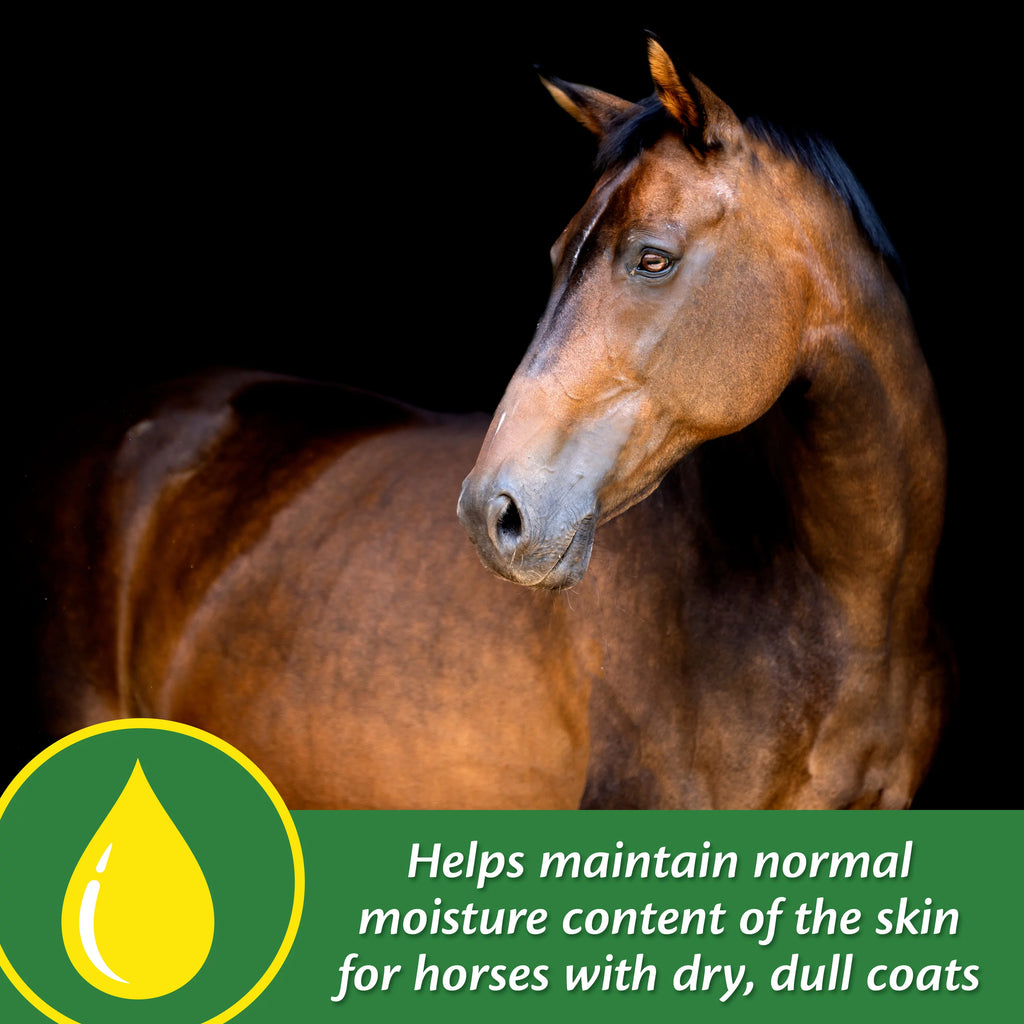 Horse Skin & Coat Supplement 5 Pound O92852