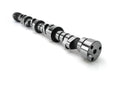 Hydraulic Roller Camshaft G585