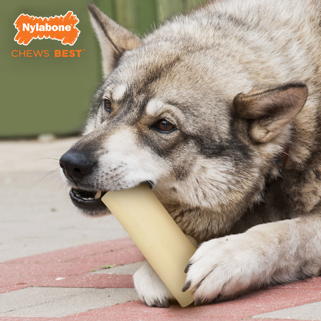 Giant Marrow Bone Dog Chew Toy H318