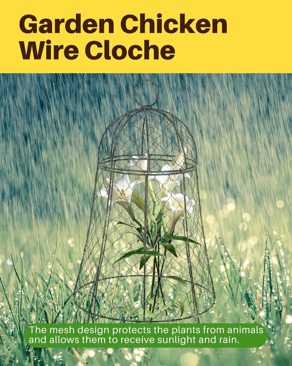 Chicken Wire Cloche 11.8''Dx22.8 H Black Metal 6 Pack W402