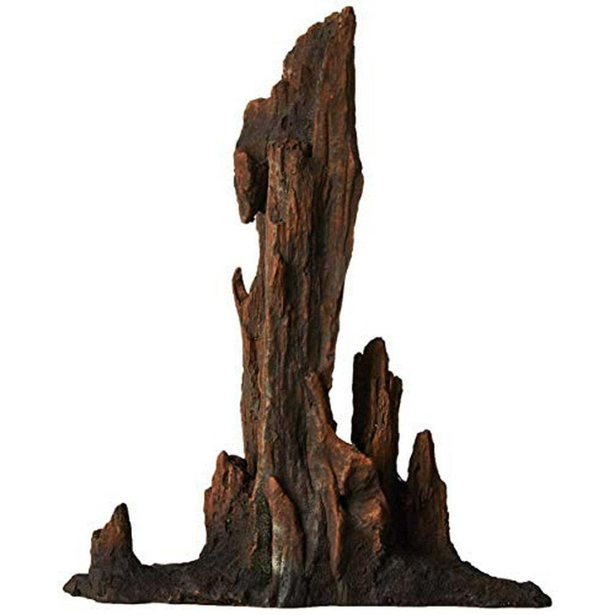 Petrified Wood U82832