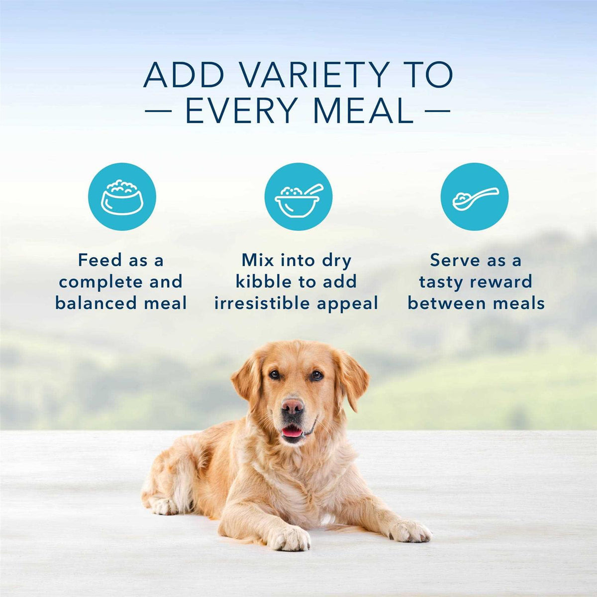 Dog Food E4498