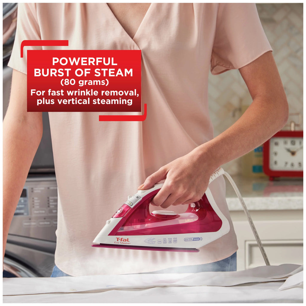 Steam Iron Z357504