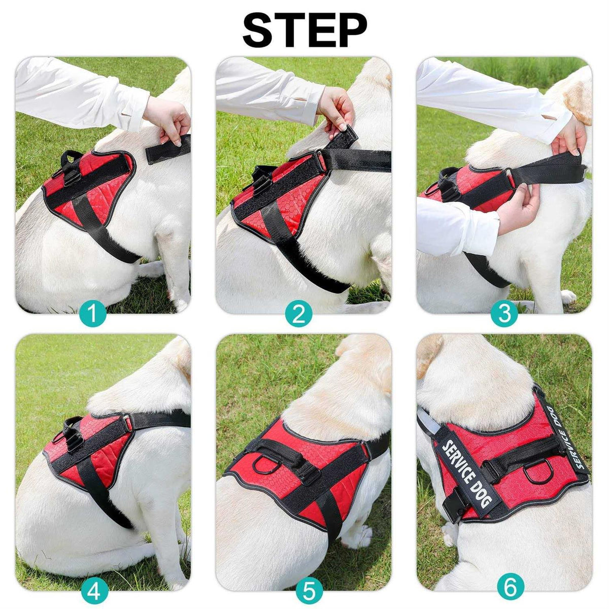 Service Dog Harness S385