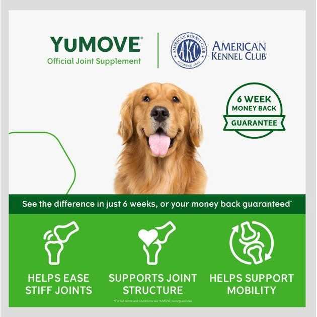 Dog Joint Tablets W2737