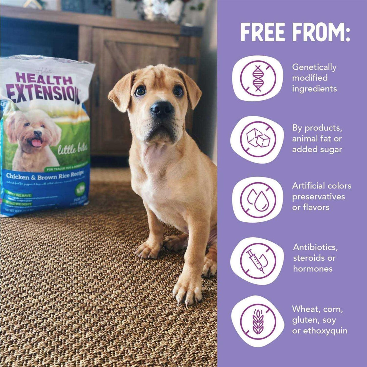 Dry Dog Food C158238