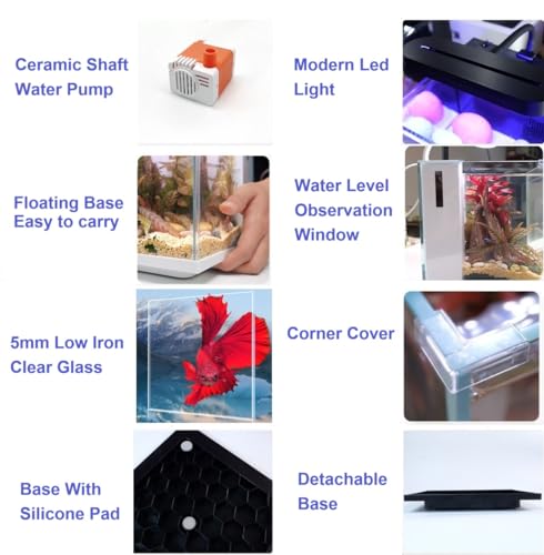 2 Gallon Small Glass Desktop Fish Tank with LED Light and Water Pump Filter E9908