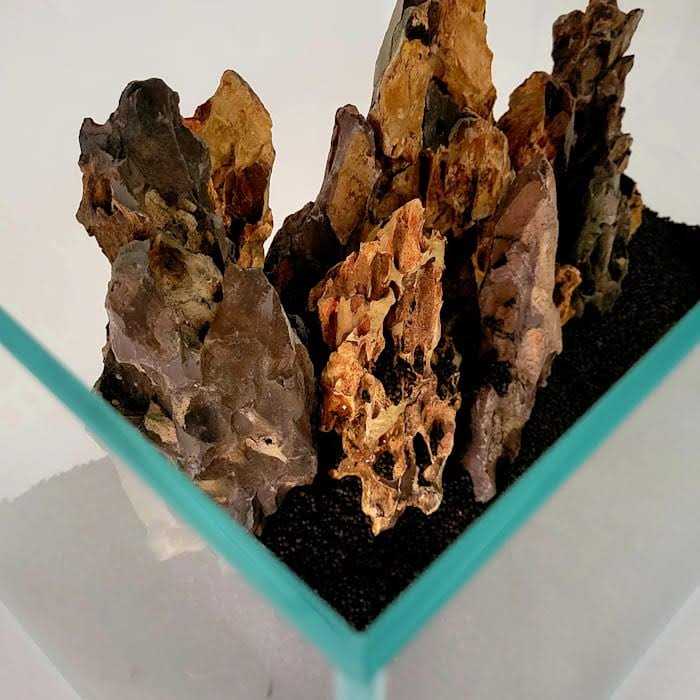 Crystal Aquarium R888310