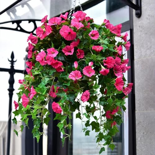 24 Bunches Artificial Morning Glories S4981