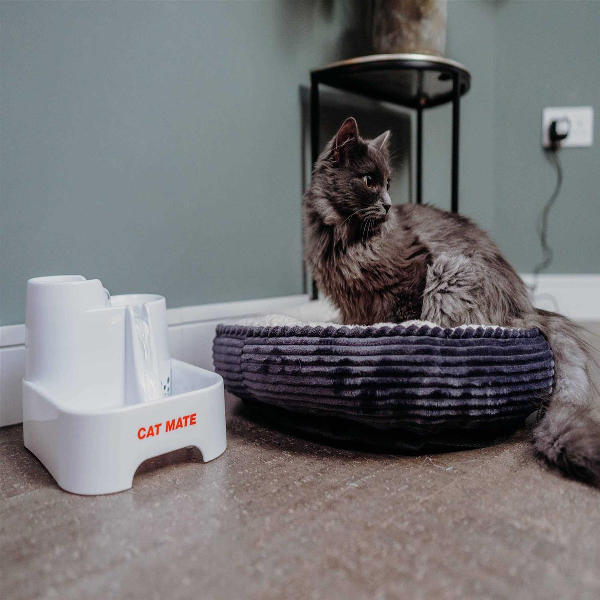 Pet Fountain U655