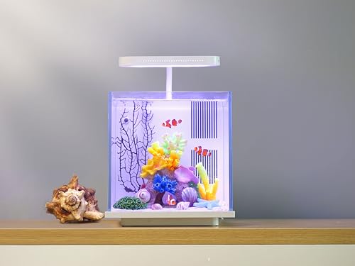 2 Gallon Small Glass Desktop Fish Tank with LED Light and Water Pump Filter E9908