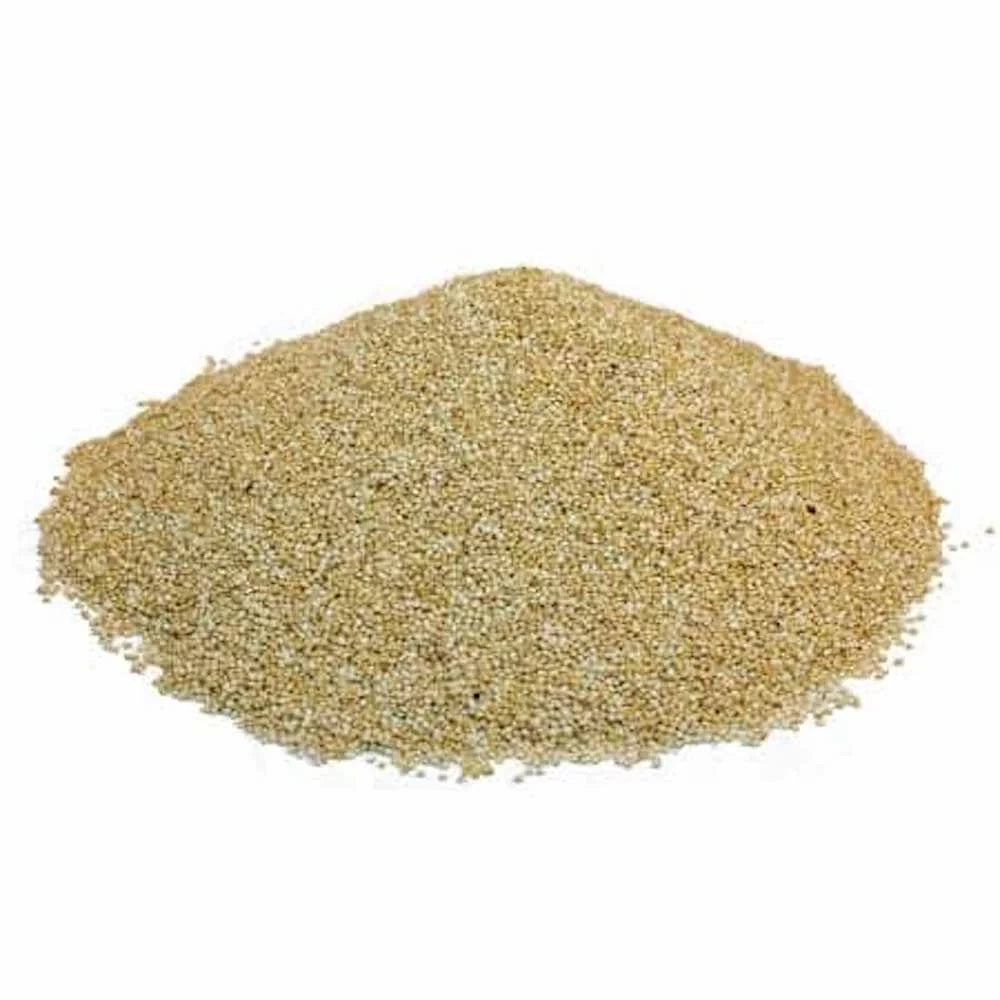 White Quinoa Seeds 5 Pound T64648