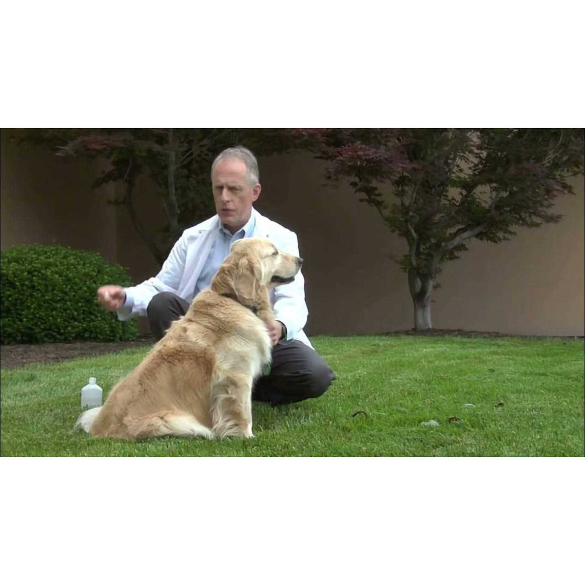 Canine Vaccine R9187