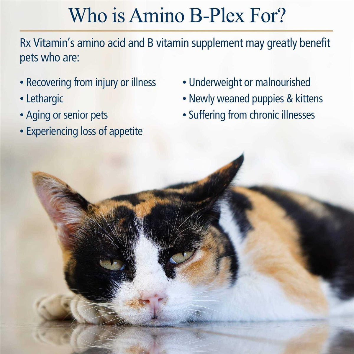 Amino B-Plex for Pets K68825