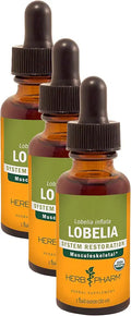 Certified Organic Lobelia Liquid Extract 1 Ounce Pack of 3 I549206