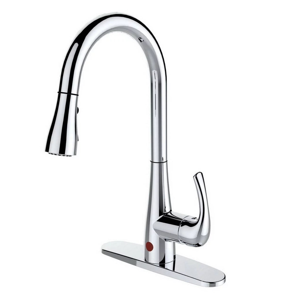 Single-Handle Pull-Down Sprayer Kitchen Faucet Chrome H1879
