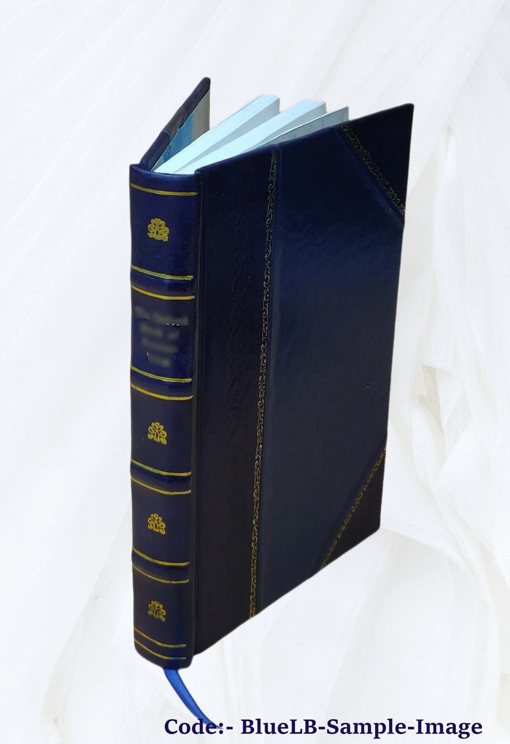 Leather Bound Book G5717