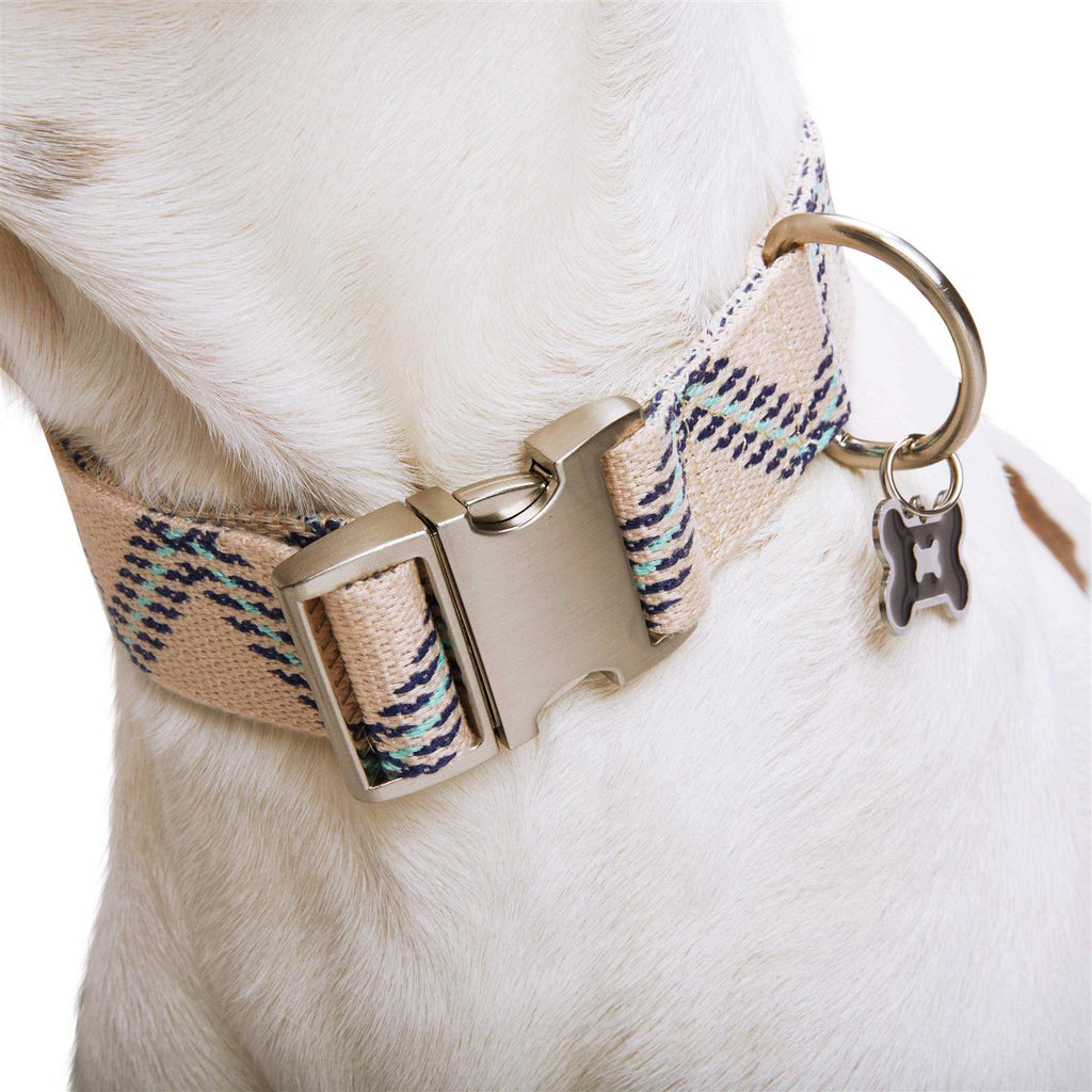 Zig Zag Dog Collar R30764