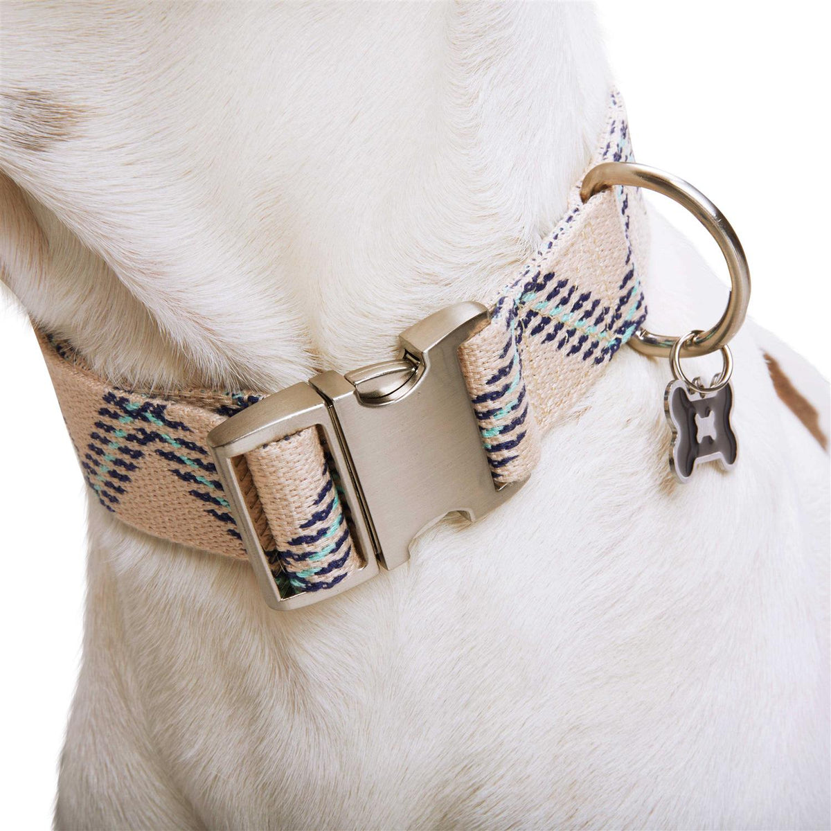 Zig Zag Dog Collar R30764