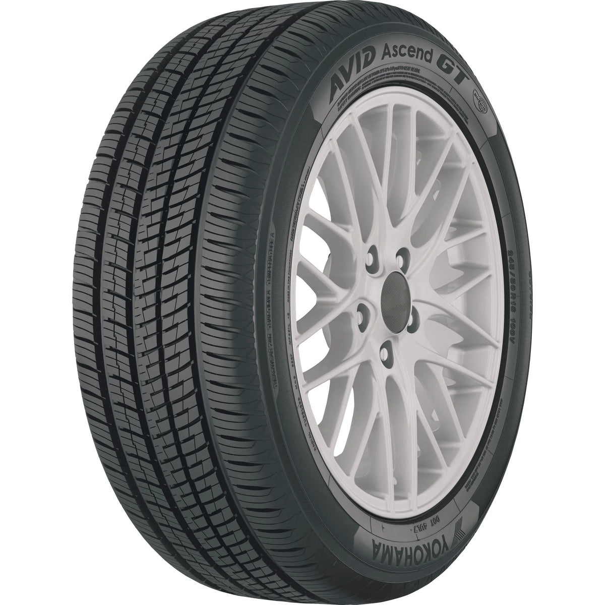 All Season Tire N216